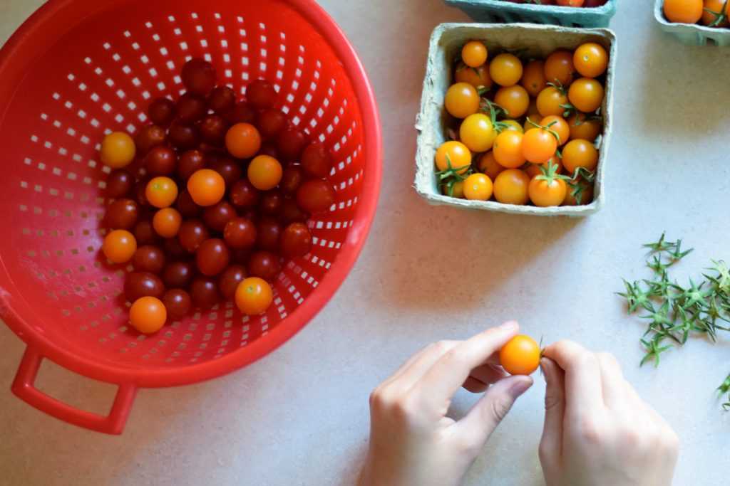 Taking the stems off cherry tomatoes and placing them in a colander.