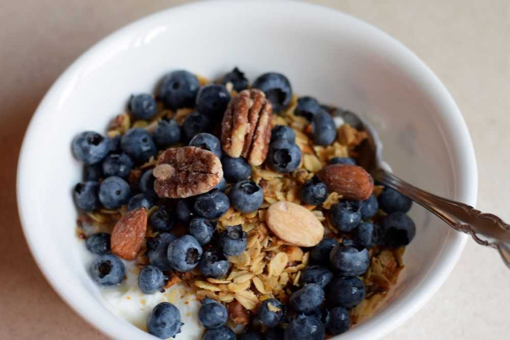 Granola in a bowl with yogurt and blueberries
