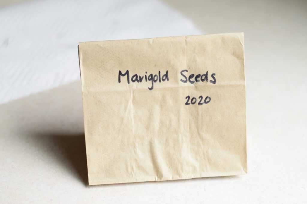 Paper bag of marigold seeds 2020