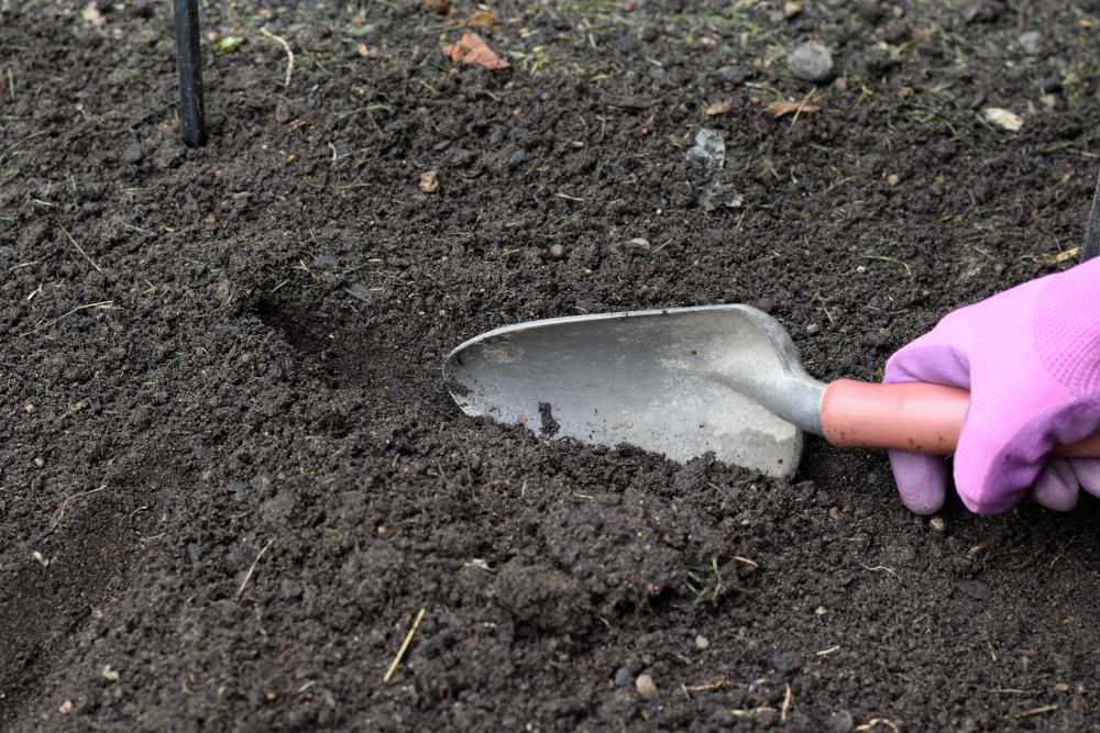 Digging a trench with a trowel.