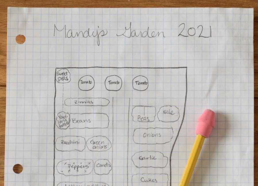 garden plan on graph paper