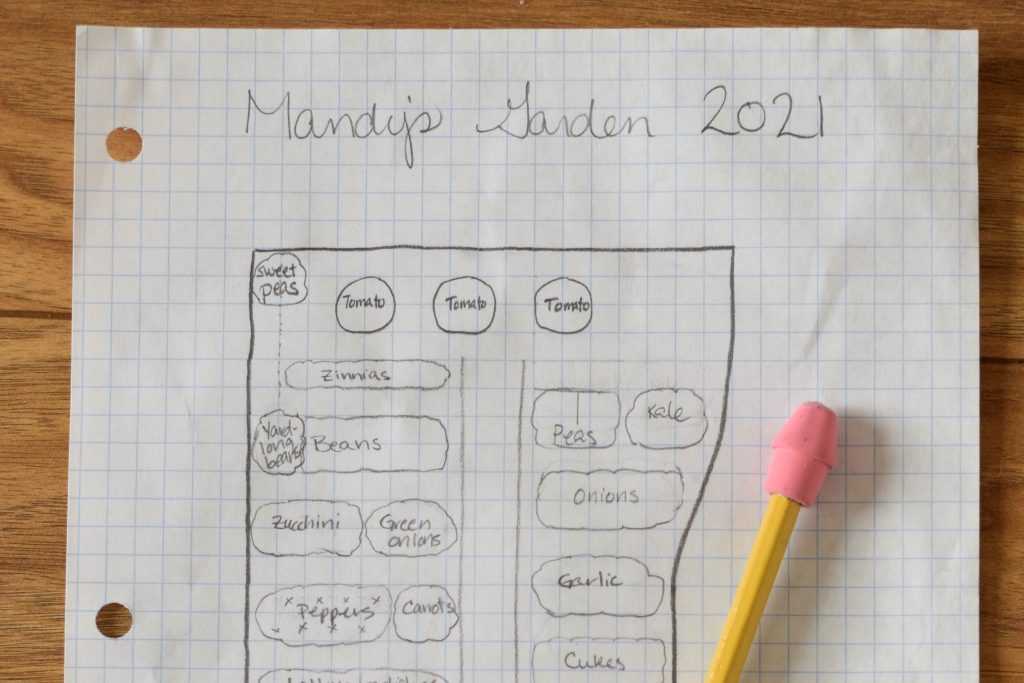 Mandy's Garden 2021.  Garden plan on graph paper with a pencil.