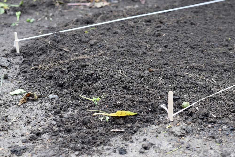 Mark garden rows with string or twine.