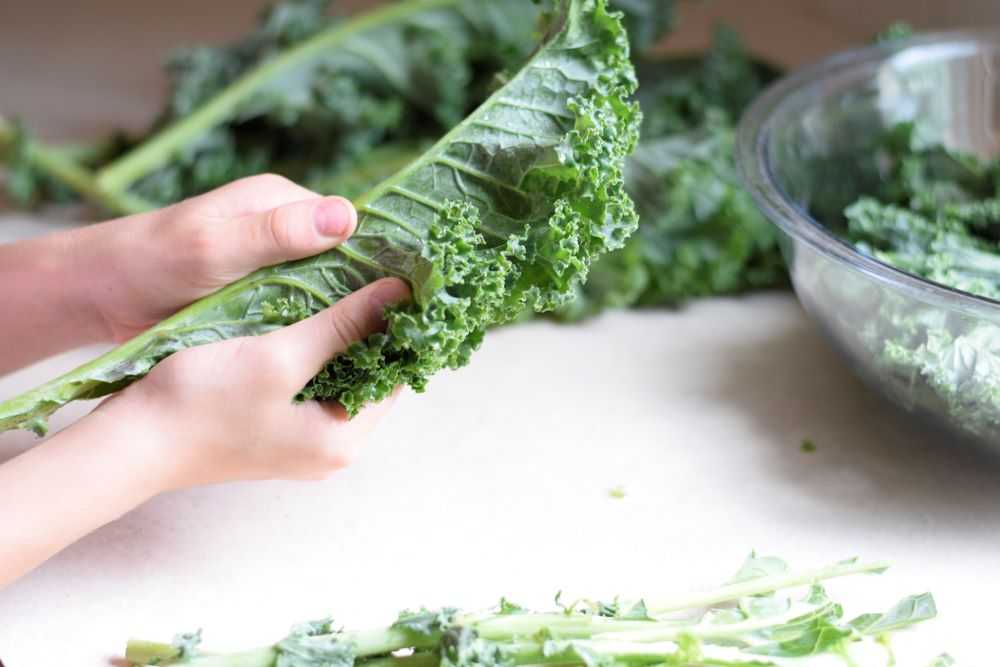 Tear the kale leaves from the stem
