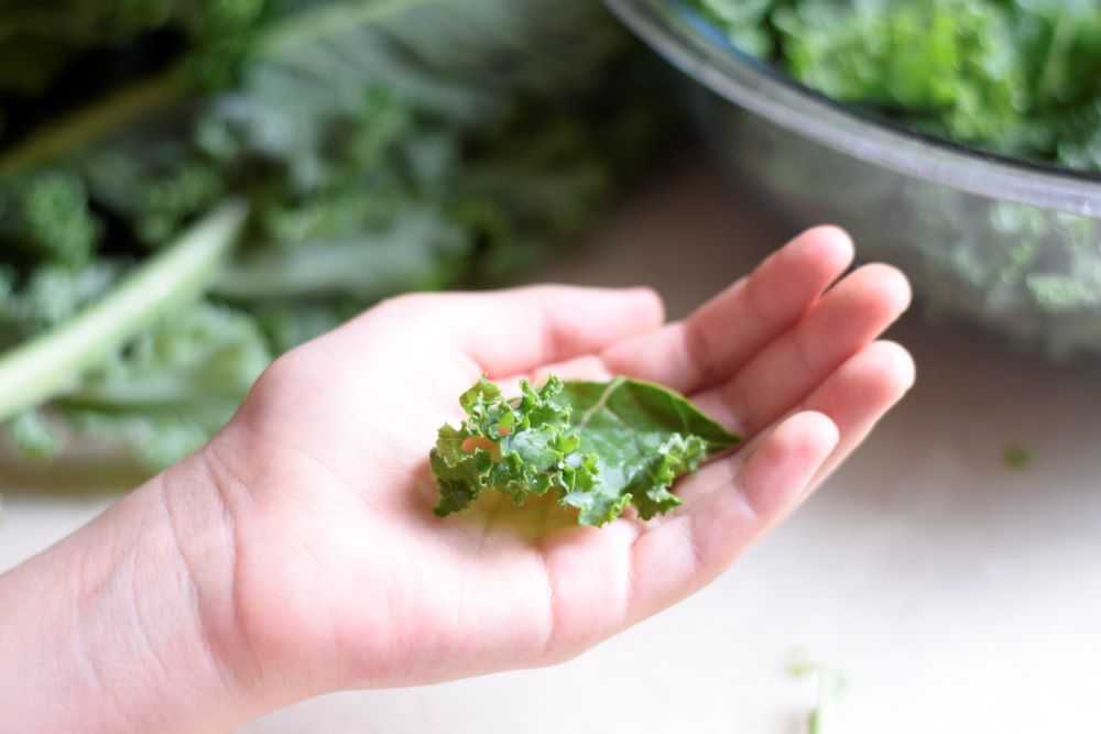 Tear the kale into bite sized pieces