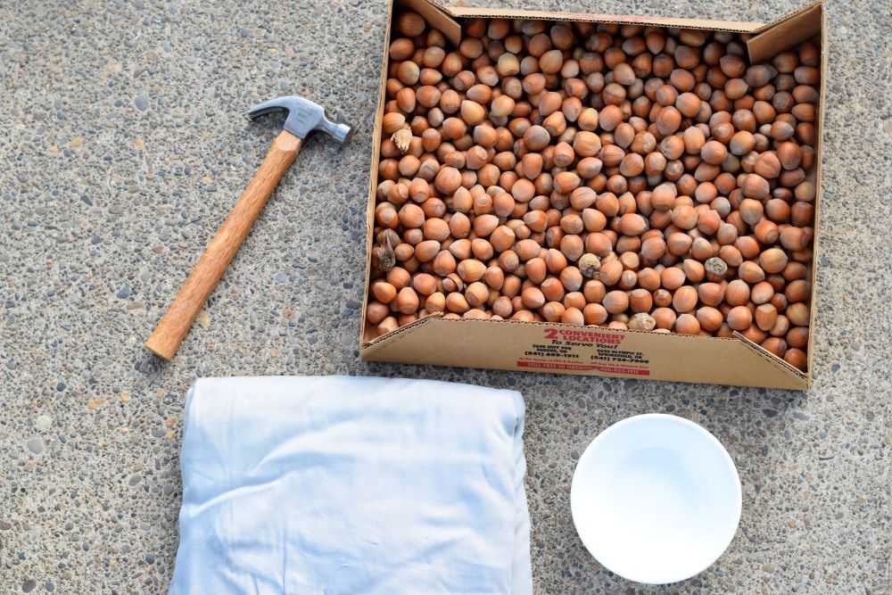 Materials to shell hazelnuts: a hammer, a sheet, and a bowl