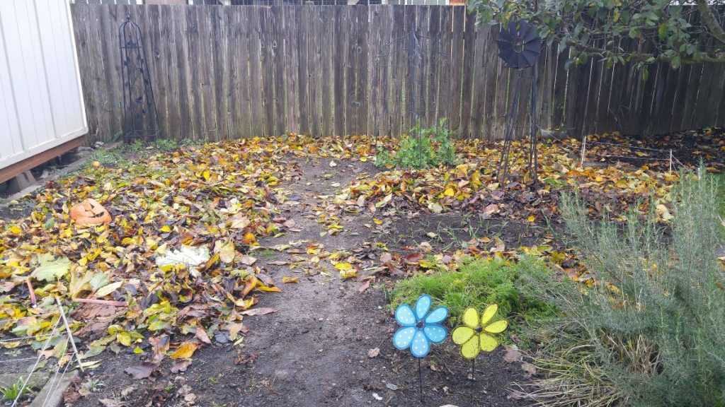 Cover the garden with leaves