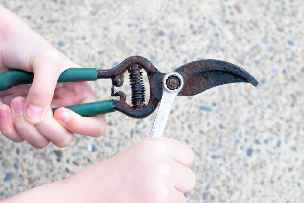 Take the pruners apart