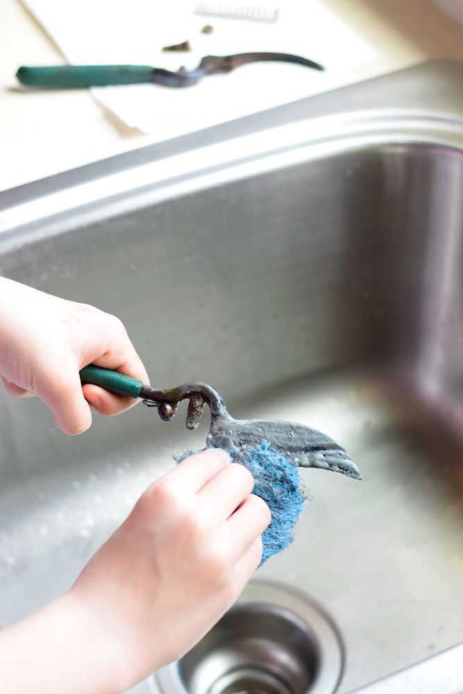 Clean the pruners with steel wool