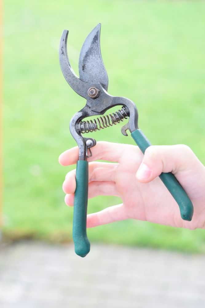 Rust free pruners