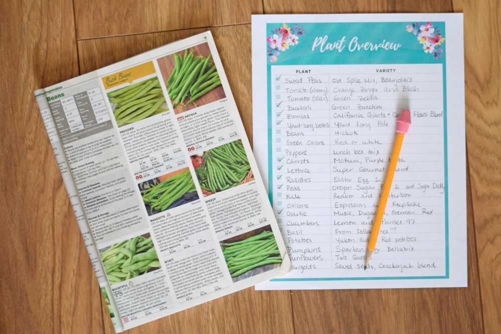 Look through seed catalogs and make a list