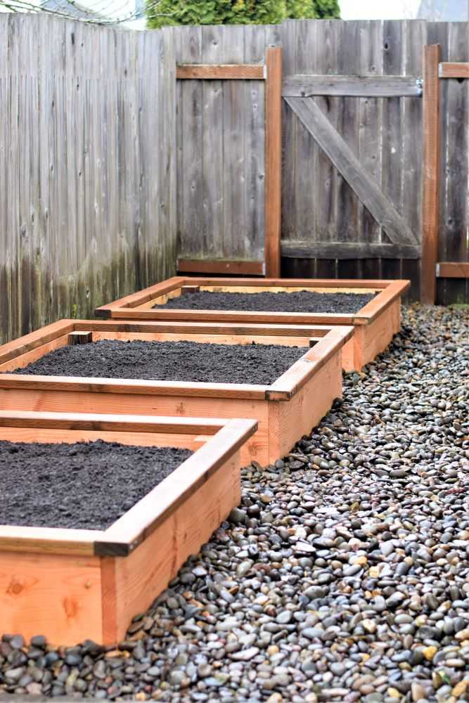 raised garden beds