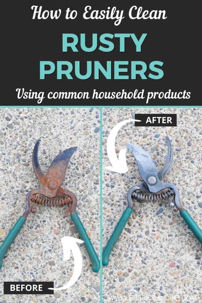 How to easily clean rusty pruners using common household products