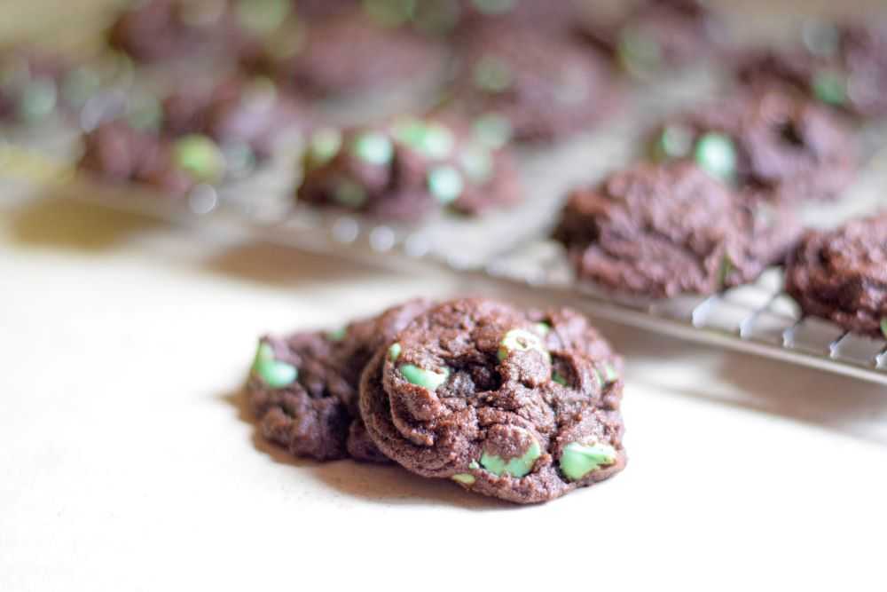 Chocolate mint chip cookies