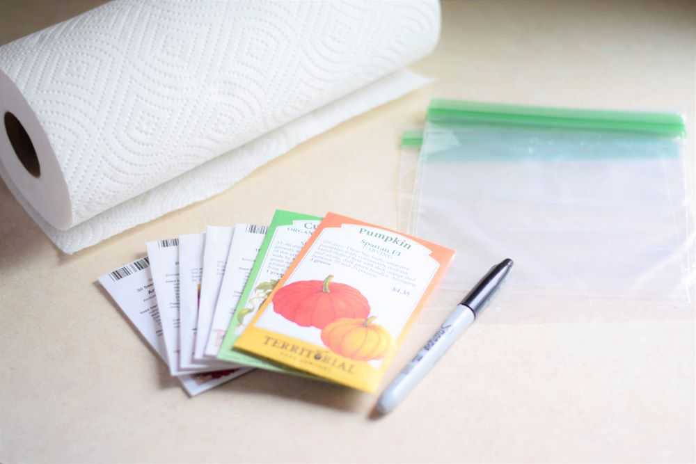 Seed packets with paper towels, bags, and a marker